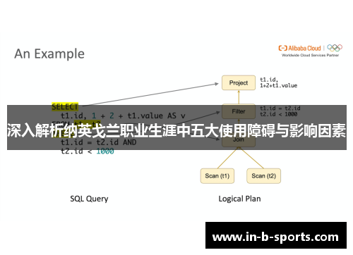 深入解析纳英戈兰职业生涯中五大使用障碍与影响因素