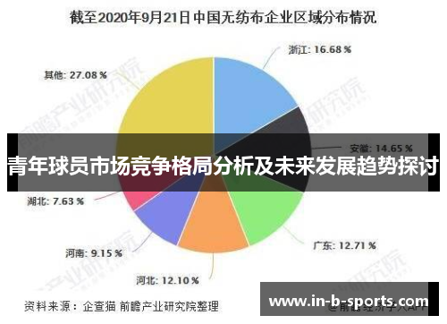 青年球员市场竞争格局分析及未来发展趋势探讨