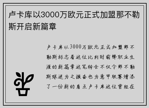 卢卡库以3000万欧元正式加盟那不勒斯开启新篇章