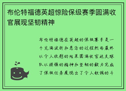 布伦特福德英超惊险保级赛季圆满收官展现坚韧精神